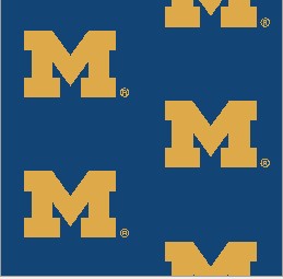 Collegiate Repeating Michigan Big Blue